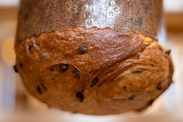 Panettone aux raisins secs – Image 2